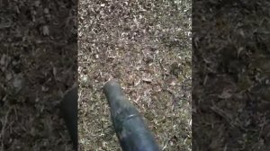 Stihl BR 600 Magnum Backpack Blower vs. Horse Poop