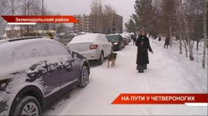 Новости Татарстана 21/01/22 пятница 21:30 День 663 ? ТНВ