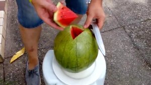 Арбузное дерево. Гвинея 2014