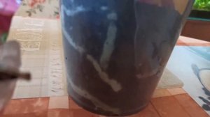 Мои новые орхидеи из Леруа Мерлен/ My new orchids from Leroy Merlin