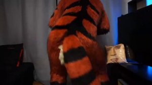 Енот Эрик играет на саксафоне 1 час