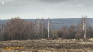 КЛАД ЧЕШУИ Камрад нашел огромный клад чешуи на поле Кладомания