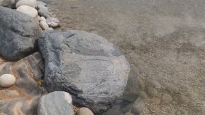Рассказ о нашем пруде часть 2 | Укрепление пруда мешками с песком