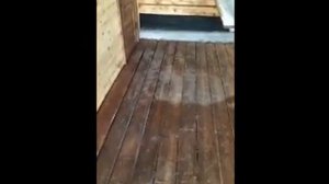 Льняное масло техническое результаты использования