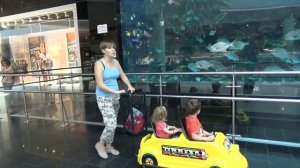 Едем в Одессу на авто прыгаем на батуте остановки Go to Odessa by car visit to S