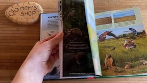 Книга Энциклопедия животные России