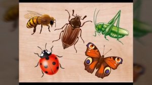 Загадки про насекомых🦗🐞🐝🐜🦋🐌🐛