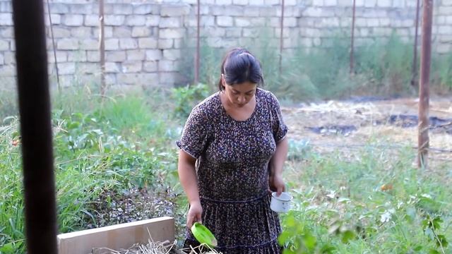 CZN Burak | Giant Khan Kebab in a special Tandoor | Ganja Dovga | Rural life in Baku смотреть онлайн