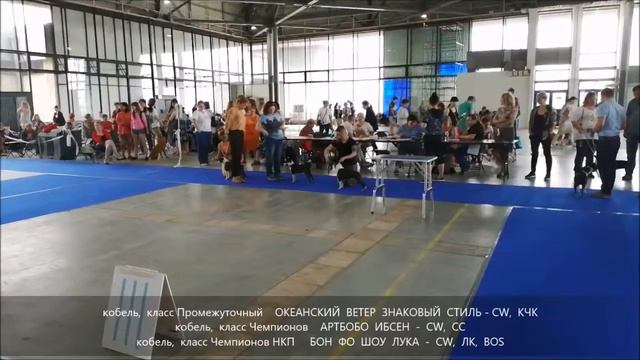 090619 МОНО БОСТОН КЧК СПб