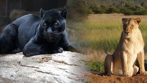 Самые Пугающие Гибриды Животных