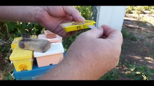 17 июля 2024 г.