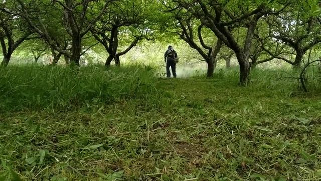 Stil FS 450 смотреть онлайн