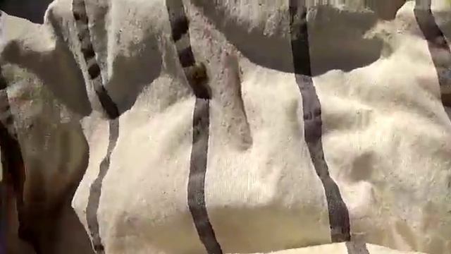 Продажа маток бакфаст и карника на 2019 год смотреть онлайн