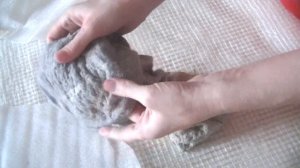 Вынимаю шаблон. Нашла решение для носочков с собачей шерстью - чтоб шерсть не лезла наружу всё врем