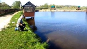 Ловля осетровых в Раменском рыбхозе "Гжелка"