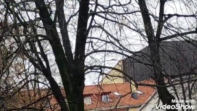 ПРОГУЛКА. Вильнюс. Старый город. Улица Вису Швянтую. Ответы, орехи, фэнтези от Макса Фрая. Walking. смотреть онлайн