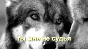 "Одинокий волк"
