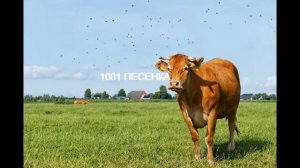 ПЕСЕНКА 33 КОРОВЫ  \  РЕМИКС