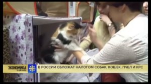 В России введут налог на домашних животных.
