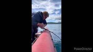 Рыба моей мечты. Рыбалка на палтуса. Острой Итуруп.