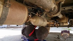 Удаление сажевого фильтра и клапана EGR на Газоне NEXT