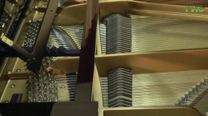 В самарскую детскую школу искусств доставили новые музыкальные инструменты