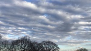 НАУЧИ МЕНЯ, БОЖЕ, МОЛЧАТЬ.../христианский стих/ читает автор Анна Юркин