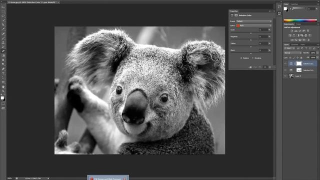 Photoshop: Selective Color by Quadree & Louis смотреть онлайн
