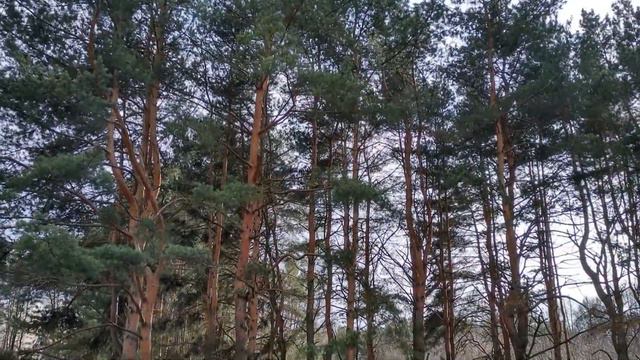 Такая пасмурная весна...Ketron SD+ & Yamaha Motif XF смотреть онлайн