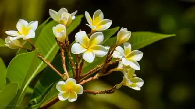 Истории из жизни. Знакомые глаза. Рассказы из жизни. Жизненные истории. смотреть онлайн