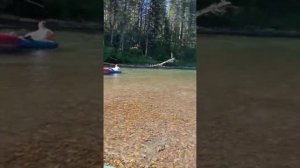 Сплав по реке мана п.нарва-п.береть, три дня и две ночи.