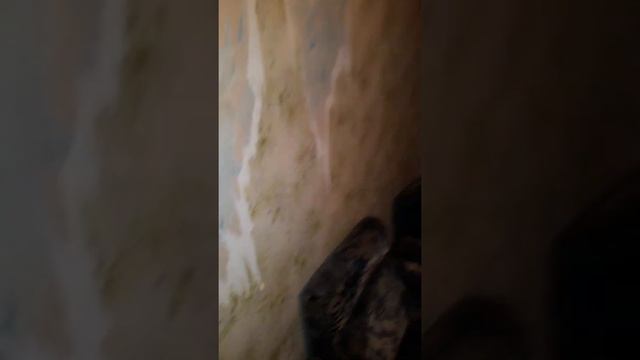 купила квартиру в кредит за 1500000 тг. смотреть онлайн