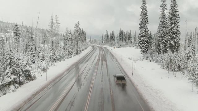 Дикий волк тащил парня по заснеженному лесу. Причина поразила всех! смотреть онлайн