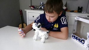 Собака-робот Паббо PupBo от Silverlit (Узнаватель)