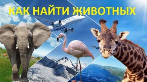 КАК найти животных в Microsoft Flight Simulator 2020!