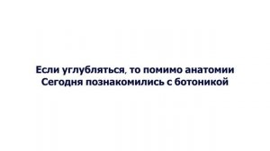 Ирина Кайратовна - 5000 (текст, lyrics, караоке)