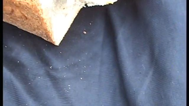 Адыгейский хлеб для станицы Костромская смотреть онлайн