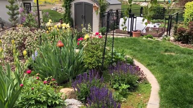 # 99 USA Обзор сада в Мае. Японские клены.Азиатские маки величиной с блюдце. смотреть онлайн