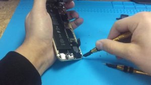 Замена Полифонического Динамика iPhone 6