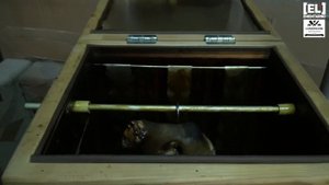 Свиная рулька. ?Если готовить РУЛЬКУ то только так.? Варено Копченая Рулька.?