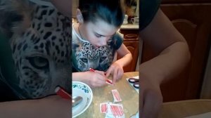 Как сделать духи в домашних условиях Духи