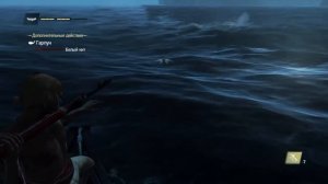 Assassin's creed 4 чёрный флаг.Белый кит.Как его найти?