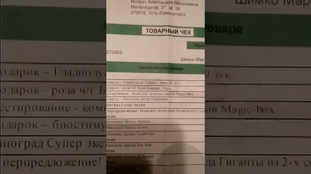 "Подарок"  от фирмы Беккер. "Блэк Баккара" роза -  не знала,  что черный -  это жёлтый!!!