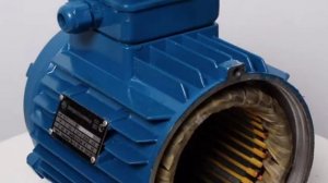 АИР 56 B4 исполнение 1081