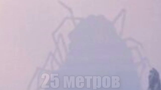 ТУМАННЫЕ ГОСТИ | Тревор Хендерсон