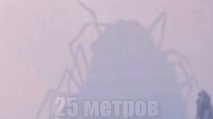 ТУМАННЫЕ ГОСТИ | Тревор Хендерсон