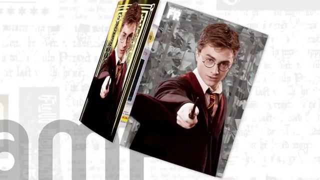 Bamf Panini Harry Potter TC 2021 60 fps смотреть онлайн