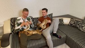 Завёл крупных змей дома! Как? Зачем? И поему?