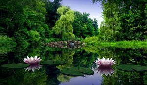 Дочь пастуха