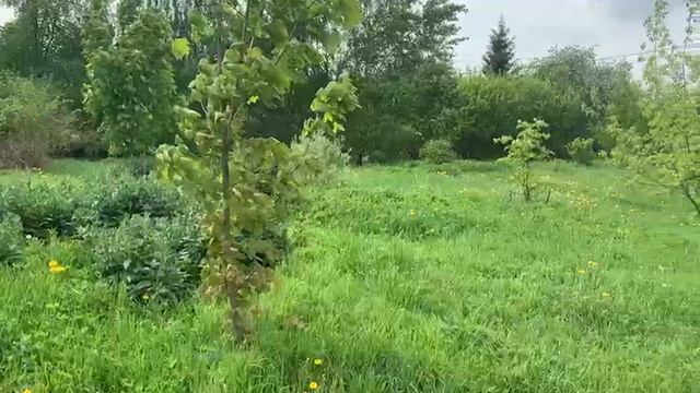 Видео Поварово 1456